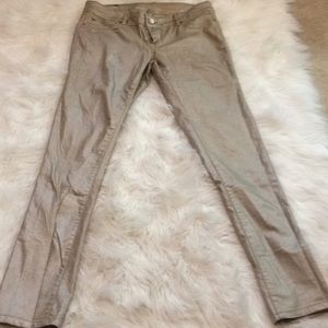 Maurices champagne metallic coated jeans